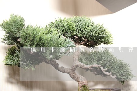信用卡逾期怎么协商划算 信用卡逾期怎么协商划算