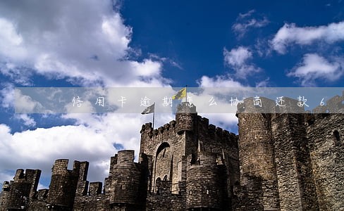 信用卡逾期怎么协商还款6 信用卡逾期怎么协商还款6