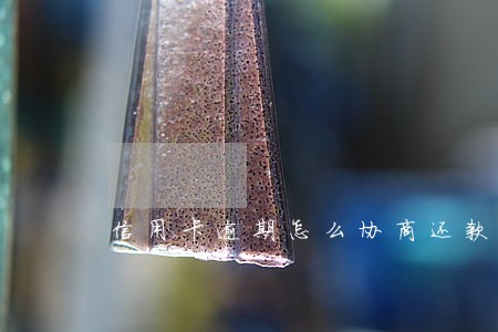 信用卡逾期怎么协商还款流程 信用卡逾期怎么协商还款流程