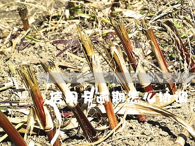 信用卡逾期怎么协调