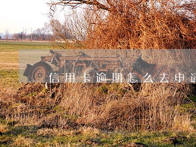 信用卡逾期怎么去申请 信用卡逾期怎么去申请