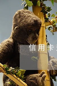 信用卡逾期怎么去经侦支队自首 信用卡逾期怎么去经侦支队自首