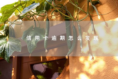 信用卡逾期怎么发现