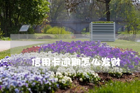 信用卡逾期怎么发财 信用卡逾期怎么发财