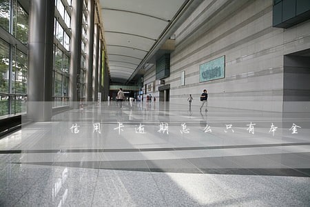 信用卡逾期怎么只有本金 信用卡逾期怎么只有本金