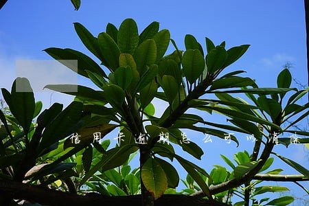 信用卡逾期怎么可以消除记录