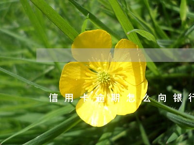 信用卡逾期怎么向银行提前还款