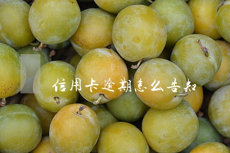 信用卡逾期怎么告知 信用卡逾期怎么告知