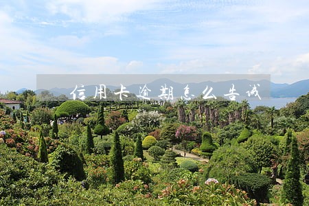 信用卡逾期怎么告诫 信用卡逾期怎么告诫