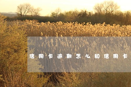 信用卡逾期怎么和信用卡中心协商