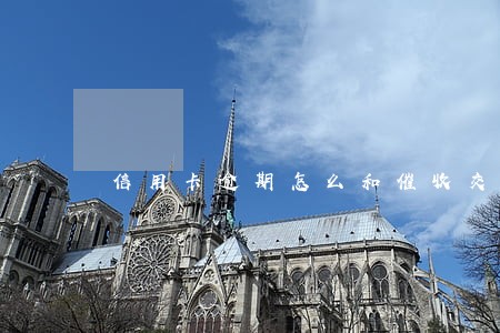 信用卡逾期怎么和催收交谈 信用卡逾期怎么和催收交谈