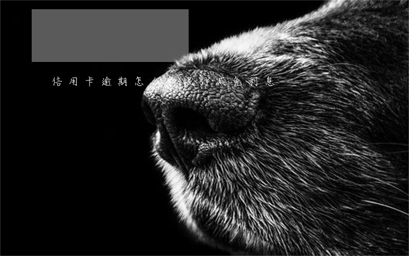 信用卡逾期怎么和银行减免利息 信用卡逾期怎么和银行减免利息