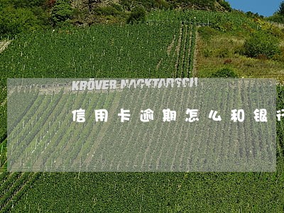 信用卡逾期怎么和银行协商6 信用卡逾期怎么和银行协商6