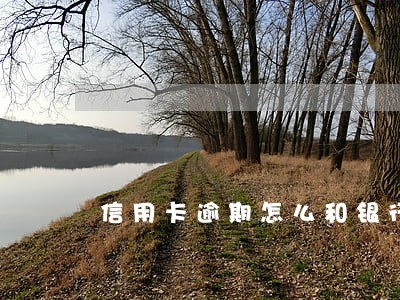 信用卡逾期怎么和银行协商电话