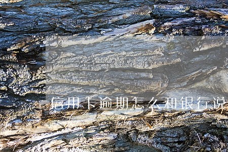 信用卡逾期怎么和银行说延迟