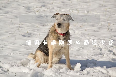 信用卡逾期怎么商谈少还款