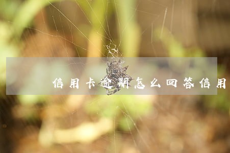 信用卡逾期怎么回答信用卡客服 信用卡逾期怎么回答信用卡客服