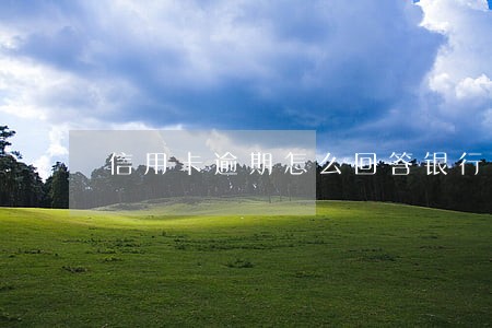 信用卡逾期怎么回答银行