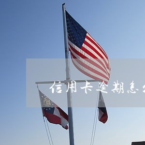 信用卡逾期怎么在老家起诉 信用卡逾期怎么在老家起诉