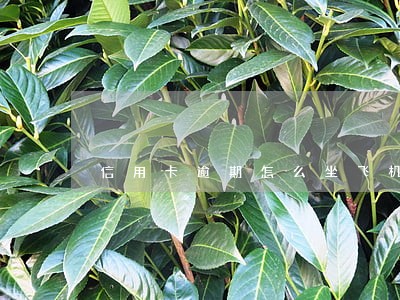 信用卡逾期怎么坐飞机吗 信用卡逾期怎么坐飞机吗