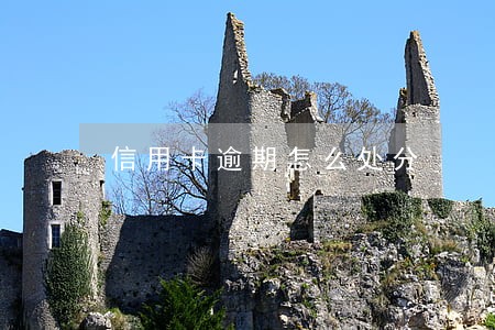 信用卡逾期怎么处分 信用卡逾期怎么处分