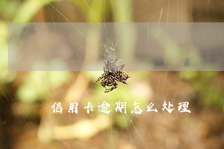信用卡逾期怎么处理 信用卡逾期怎么处理
