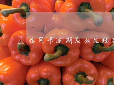 信用卡逾期怎么处理不影响征信 信用卡逾期怎么处理不影响征信