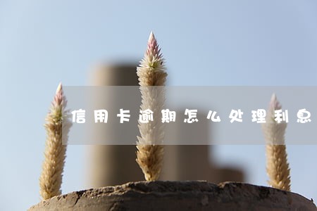 信用卡逾期怎么处理利息 信用卡逾期怎么处理利息