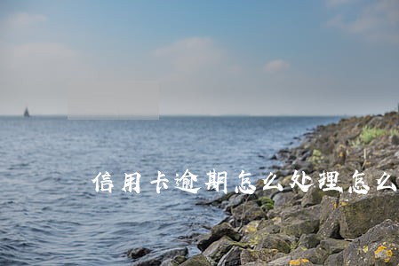 信用卡逾期怎么处理怎么恢复 信用卡逾期怎么处理怎么恢复