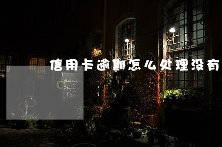 信用卡逾期怎么处理没有利息 信用卡逾期怎么处理没有利息