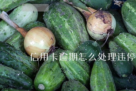 信用卡逾期怎么处理违停还款
