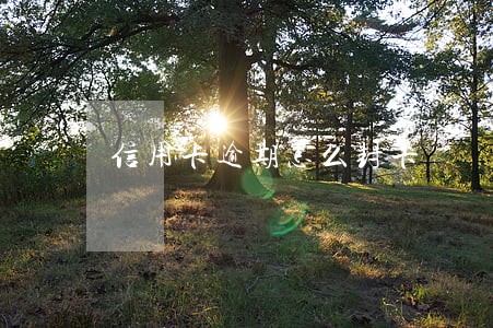 信用卡逾期怎么封卡 信用卡逾期怎么封卡