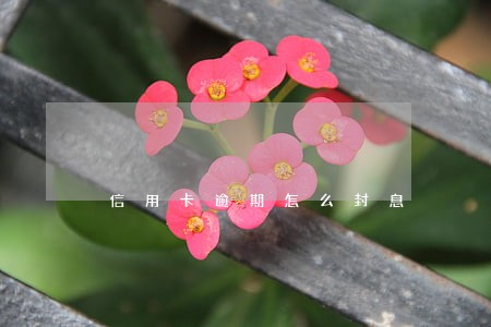 信用卡逾期怎么封息