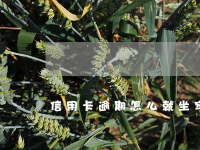 信用卡逾期怎么就坐牢 信用卡逾期怎么就坐牢