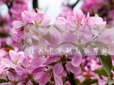 信用卡逾期怎么帮扶 信用卡逾期怎么帮扶