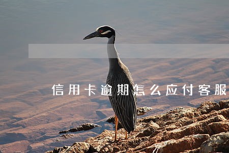 信用卡逾期怎么应付客服 信用卡逾期怎么应付客服
