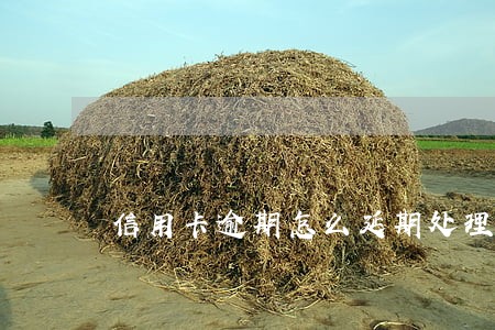 信用卡逾期怎么延期处理