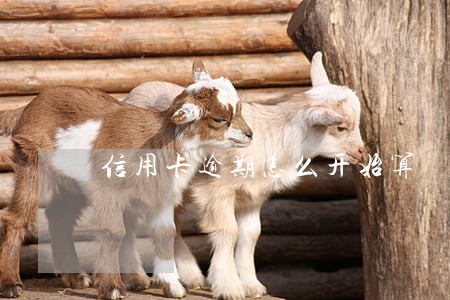 信用卡逾期怎么开始算