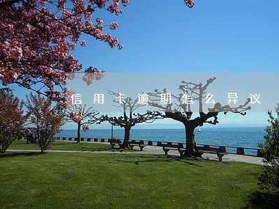信用卡逾期怎么异议