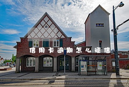 信用卡逾期怎么征信 信用卡逾期怎么征信