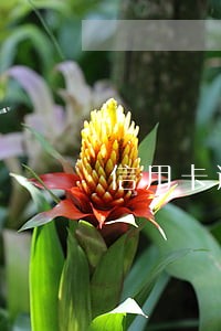 信用卡逾期怎么惩罚 信用卡逾期怎么惩罚
