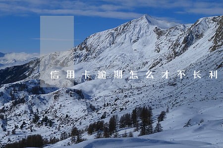 信用卡逾期怎么才不长利息 信用卡逾期怎么才不长利息