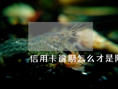 信用卡逾期怎么才是限制高消费 信用卡逾期怎么才是限制高消费