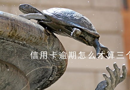 信用卡逾期怎么才算三个月 信用卡逾期怎么才算三个月