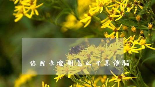信用卡逾期怎么才算诈骗 信用卡逾期怎么才算诈骗
