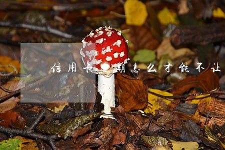信用卡逾期怎么才能不让单位走访 信用卡逾期怎么才能不让单位走访