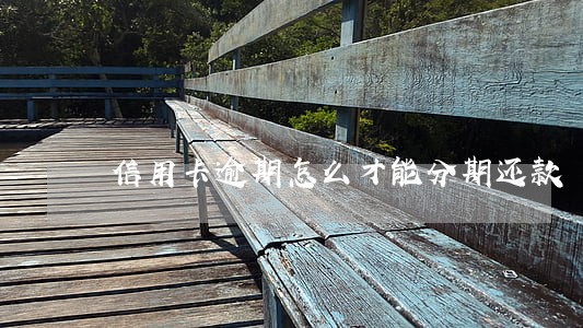 信用卡逾期怎么才能分期还款