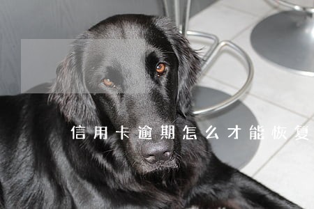 信用卡逾期怎么才能恢复额度吗 信用卡逾期怎么才能恢复额度吗