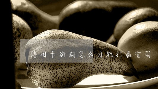 信用卡逾期怎么才能打赢官司 信用卡逾期怎么才能打赢官司