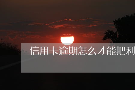 信用卡逾期怎么才能把利息停掉 信用卡逾期怎么才能把利息停掉